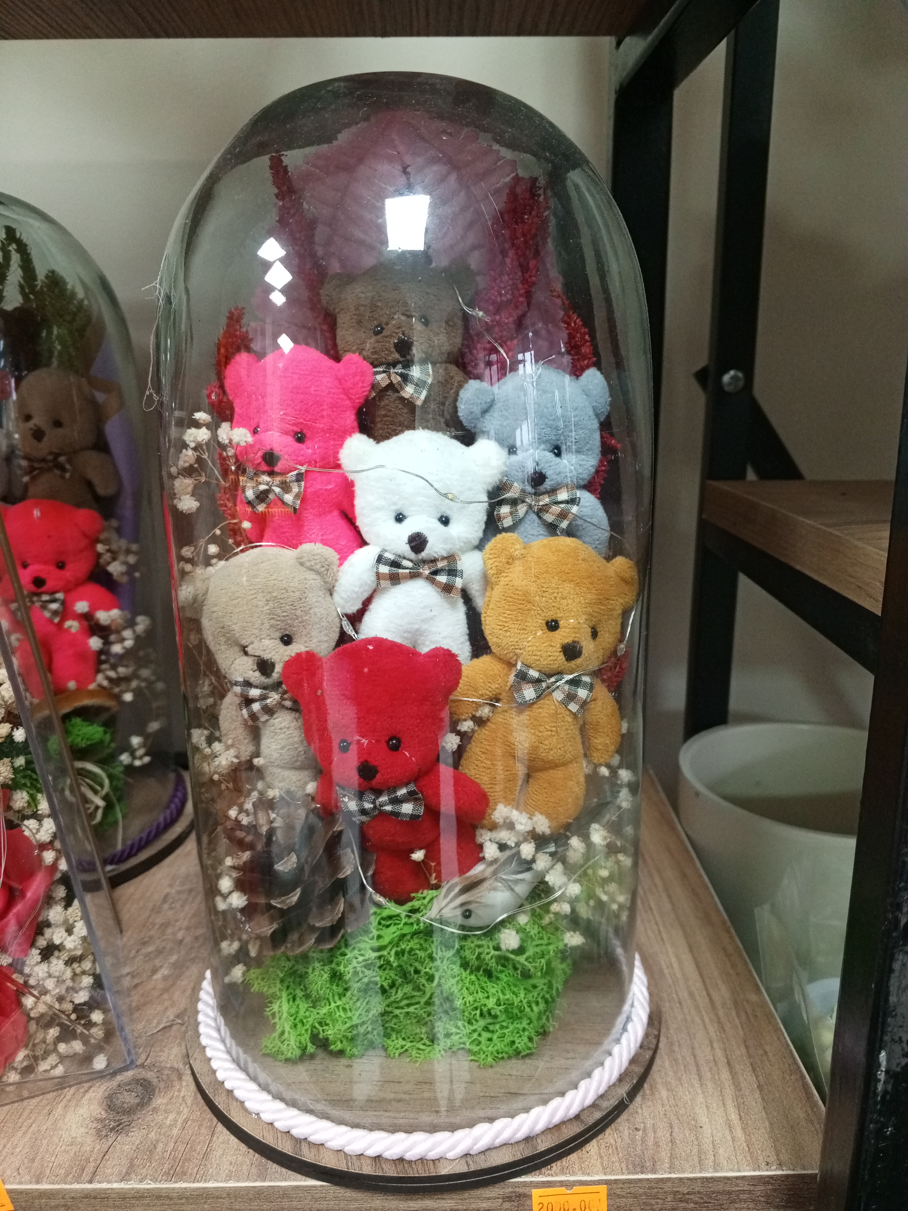 Ters fanusta ayıcıklar